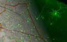 Speed data for the brain’s navigation system Speed data for the brain’s navigation system